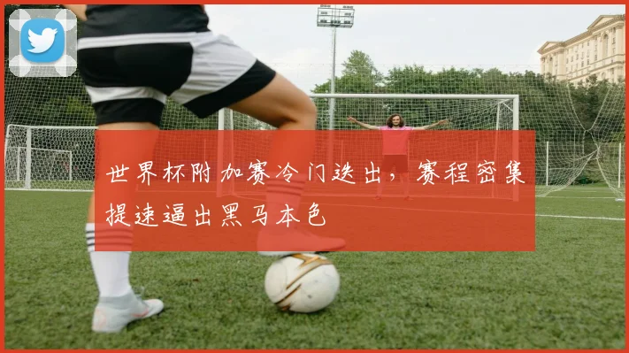 世界杯附加赛冷门迭出，赛程密集提速逼出黑马本色